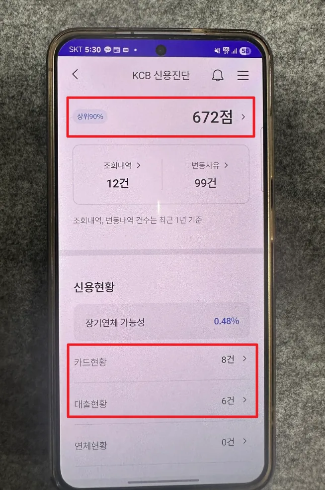 개인정보가 가려진 신용 현황 확인 화면